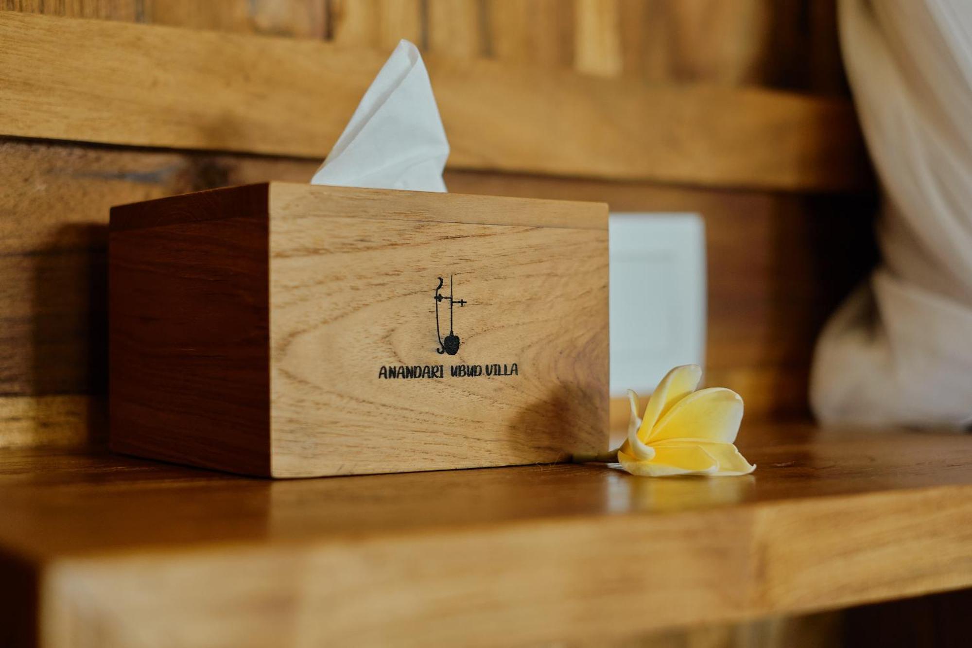Anandari Ubud Villa Eksteriør billede